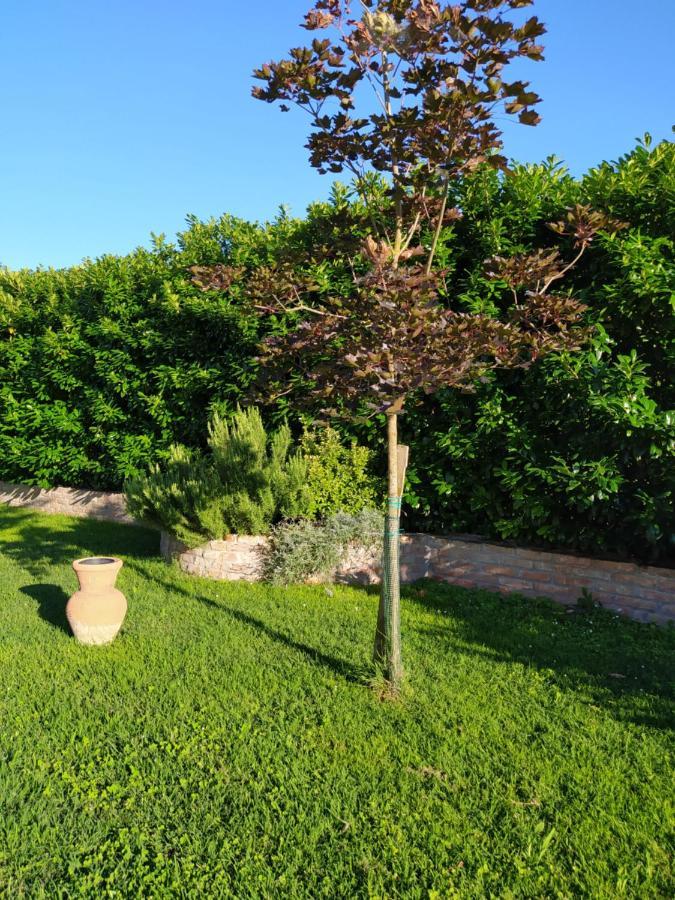 Soggiorno In Relax Correggioverde Exteriér fotografie